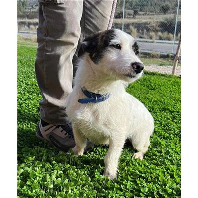 Comune di Posada - 380260045077515