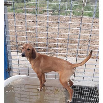 Comune di San Teodoro - 380260043827936