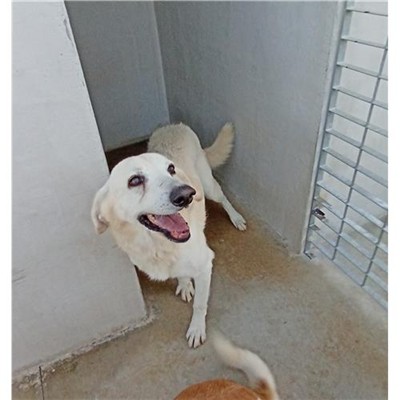 Comune di Ploaghe - 380260041106888