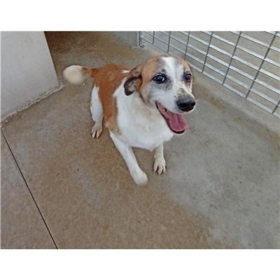 Comune di Ploaghe - 380260041561917