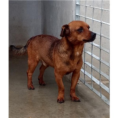 Comune di Posada - 380260044243702