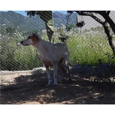 Comune di San Teodoro - 380260044244127